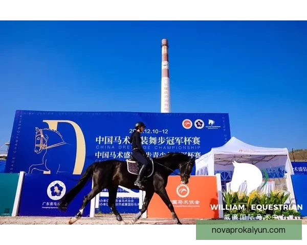 布基纳法索骏马表现稳健，引发国际赛事关注